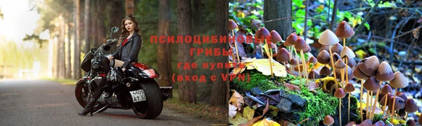 ECSTASY Сафоново